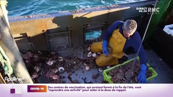 Brexit : vers une indemnité pour les pêcheurs français privés de licence ?