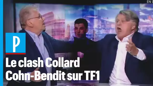 « Ordure ! » : Gilbert Collard et Daniel Cohn-Bendit s&#039;insultent en direct sur TF1