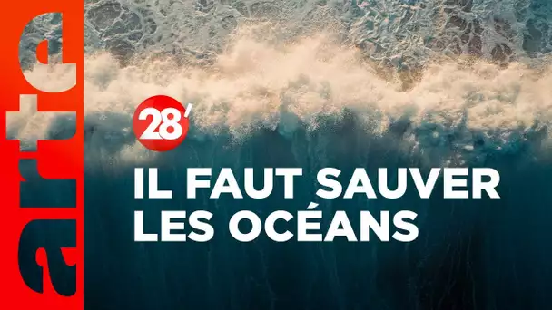 Mobilisons-nous pour les océans ! | Claire Nouvian - 28 Minutes - ARTE