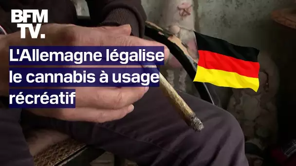 L'Allemagne devient le troisième pays de l'UE à légaliser le cannabis récréatif