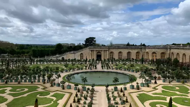 Vaccinés au Château de Versailles :  "Je suis déçue que les gens ne soient pas en costume d'épo