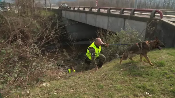 Savoie et Haute-Savoie : des chiens de gendarmerie à toutes épreuves