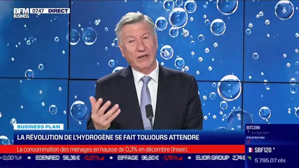 Philippe Boucly (France Hydrogène): La révolution de l'hydrogène verte se fait toujours attendre