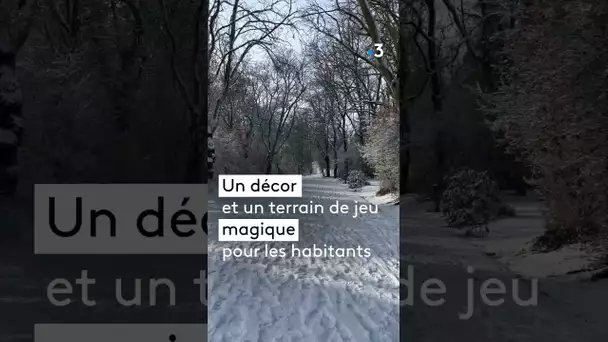 Reims sous la neige : une ambiance magique et féérique