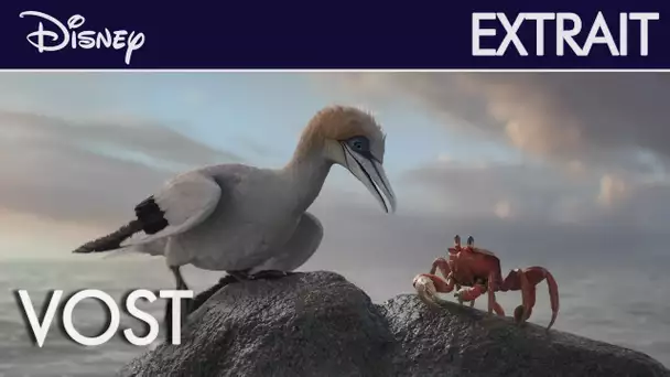 La Petite Sirène - Extrait : Écoute-moi bien l'oiseau (VOST) | Disney