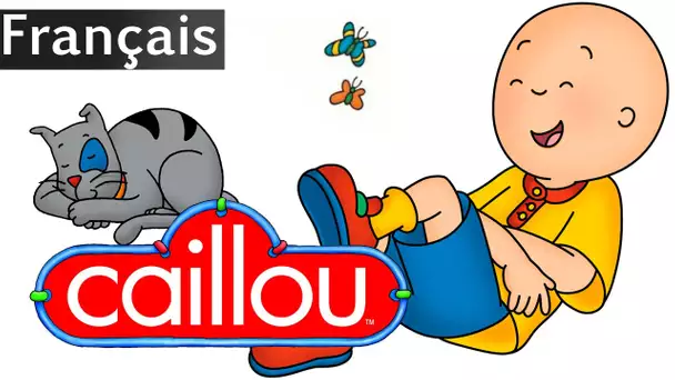 Caillou FRANÇAIS - Caillou Pour 4.5 Heures! | conte pour enfant | Caillou en Français