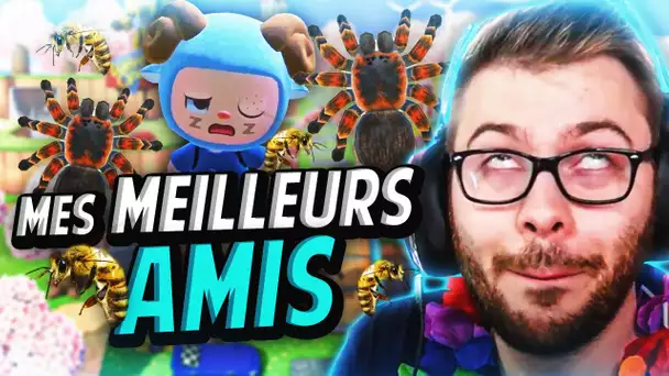 BEST-OF NT #6 - Mes Meilleurs Amis les Insectes 🦂🐝