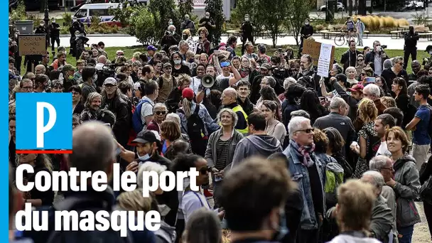 Covid-19 : des manifestants anti-masques se rassemble à Paris, la police verbalise