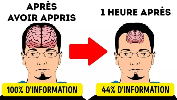 11 Secrets Pour Mémoriser Les Choses Plus Rapidement Que Les Autres