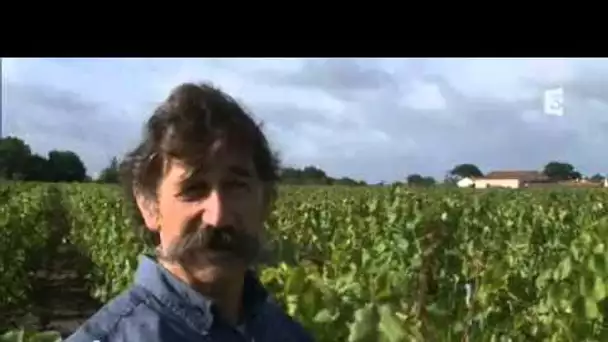 Jo Landron, vigneron du Pays nantais
