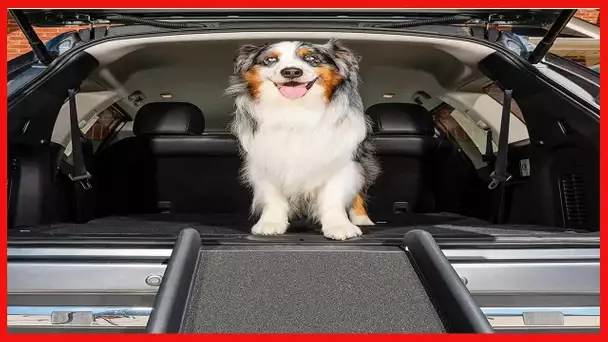 PetSafe Happy Ride Folding Dog Ramp for Cars, Trucks, & SUVs - 62 Inch Portable Pet Ramp for Large