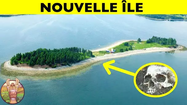 Regardez comment la nature donne vie à une nouvelle île !