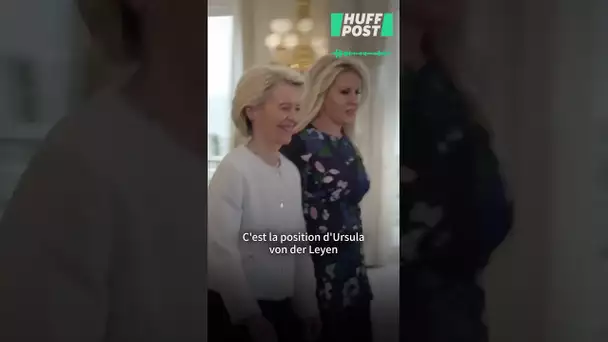L’accord entre Trump et l’Europe sur les droits de douane, moindre mal ou catastrophe ?