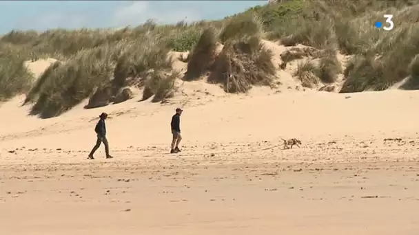 Préservation des dunes des Flandres