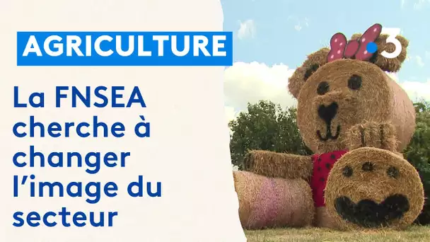 Insolite : des ours faits en ballots de paille le long des routes