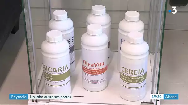 Le laboratoire Phythodia fête ses 15 ans d'existence à Illkirch (67)