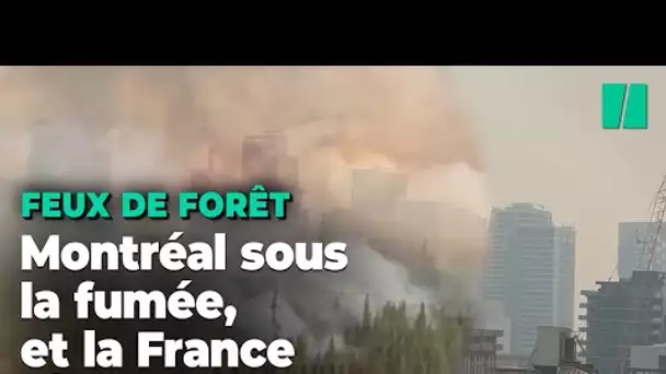 La fumée des incendies du Canada atteint la France et fait suffoquer Montréal