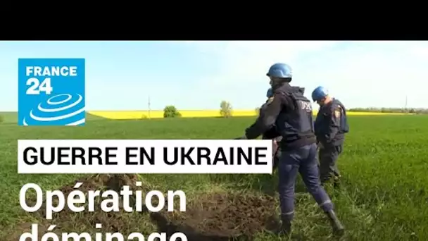 Guerre en Ukraine : l’agriculture, l’autre champ de bataille