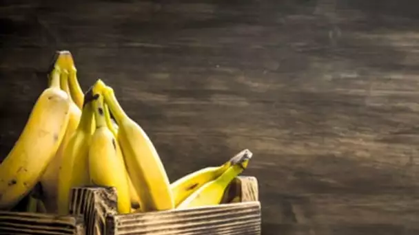 Des bananes avec une peau comestible produites au Japon