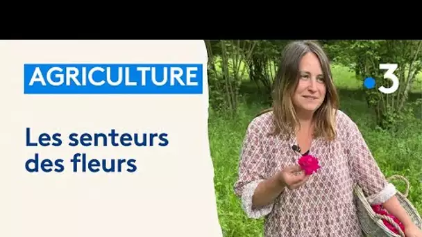 La ferme florale de Juliette à Ancy-sur-Moselle