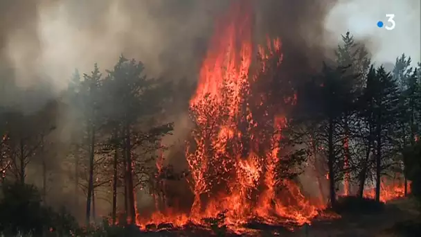 Eté 2019 : incendies en série en Languedoc et en Roussillon