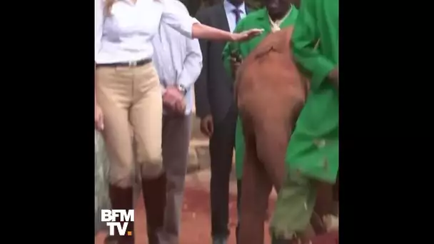 Mélania Trump s&#039;est fait bousculer par un éléphanteau au Kenya