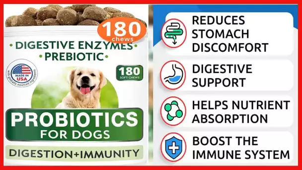 Dog Probiotics Chews - Gas, Diarrhea, Allergy, Constipation, Upset Stomach Relief, with Digestive