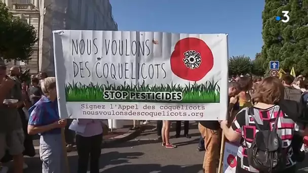 Marche pour le climat à Limoges