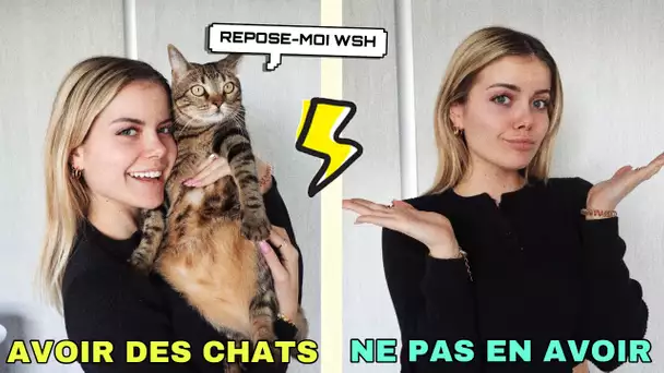 AVOIR DES CHATS VS NE PAS EN AVOIR