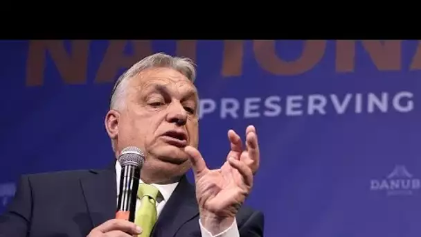 Hongrie : les électeurs sont divisés sur le rôle des élections européennes