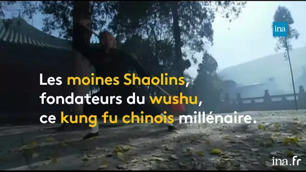 Apprenti Shaolin, un rêve à la portée des Occidentaux | Franceinfo INA