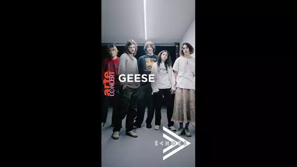 Geese brings a New Yorker touch to "Echoes" 🔥 – ARTE Concert