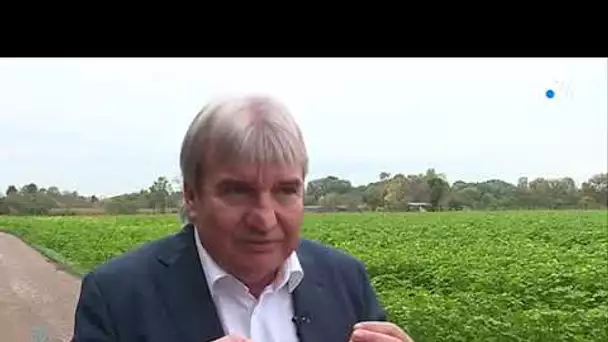 Irrigation : quel impact sur les rivières du Bas-Rhin ?