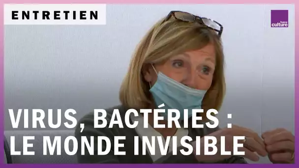 Virus, bactéries, ce monde invisible qui est en nous