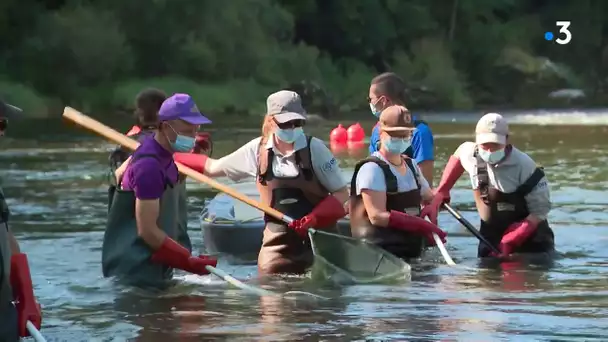 Pêche électrique sur la rivière la Loue dans le Doubs