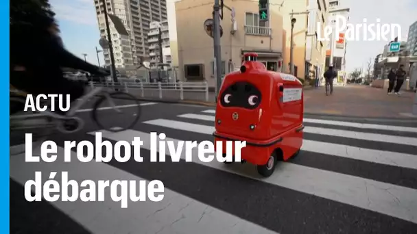 Au Japon, des robots pour compenser la pénurie de livreurs