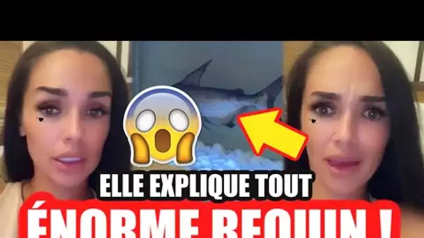 JAZZ SOUS LE CHOC 😱, ELLE S’EXPRIME À PROPOS DU REQUIN DANS LEUR VILLA ET LA POL$MIQUE !!