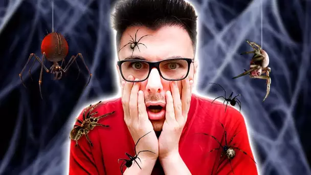 Vous avez peur des araignées ? Moi oui ! (Torchlight)