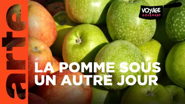 Tout sur la pomme | Voyage gourmand | ARTE Family
