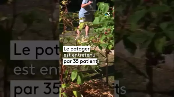 Un jardin pour se sevrer