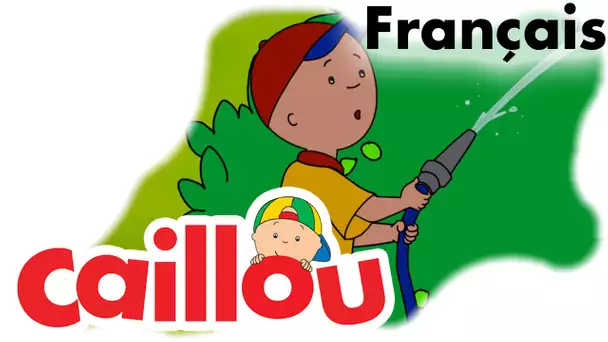 Caillou FRANÇAIS - Hâter les framboises (S05E08) | conte pour enfant | Caillou en Français