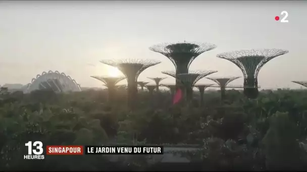 Singapour : le jardin venu du futur