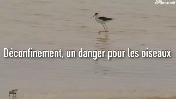 Conservatoire des espaces naturels : « Le déconfinement va avoir un impact potentiel important »