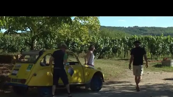 Oenotourisme : à la découverte du vignoble cadurcien à bord d’une Deudeuche