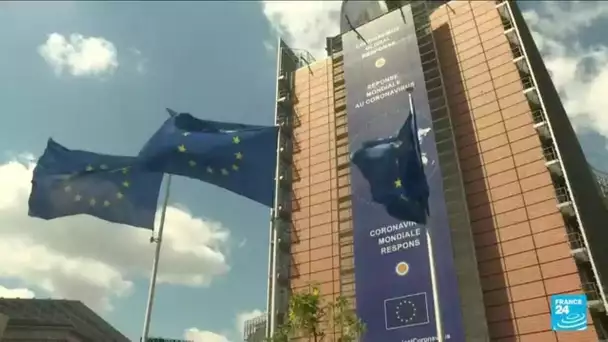 Bruxelles rend son avis sur les négociations d'adhésion de l'Ukraine à l'UE • FRANCE 24
