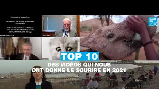 TOP 10 des vidéos qui nous ont donné le sourire en 2021 • FRANCE 24