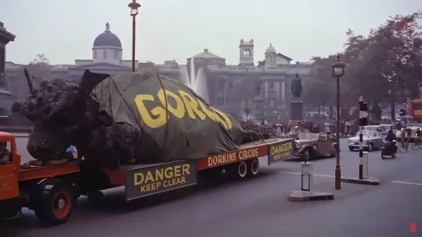 Gorgo (Action) Film Complet en français