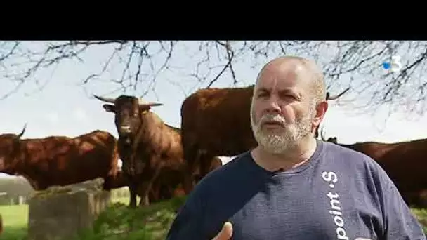 Une cellule d&#039;écoute pour les agriculteurs en difficultés lancée en Haute-Saône