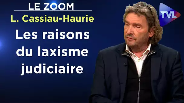 Insécurité : la police pour empêcher une guerre civile ? - Le Zoom - Laurent Cassiau-Haurie - TVL