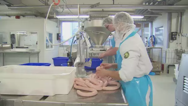 La fabrication de la saucisse de veau. ABE-RTS